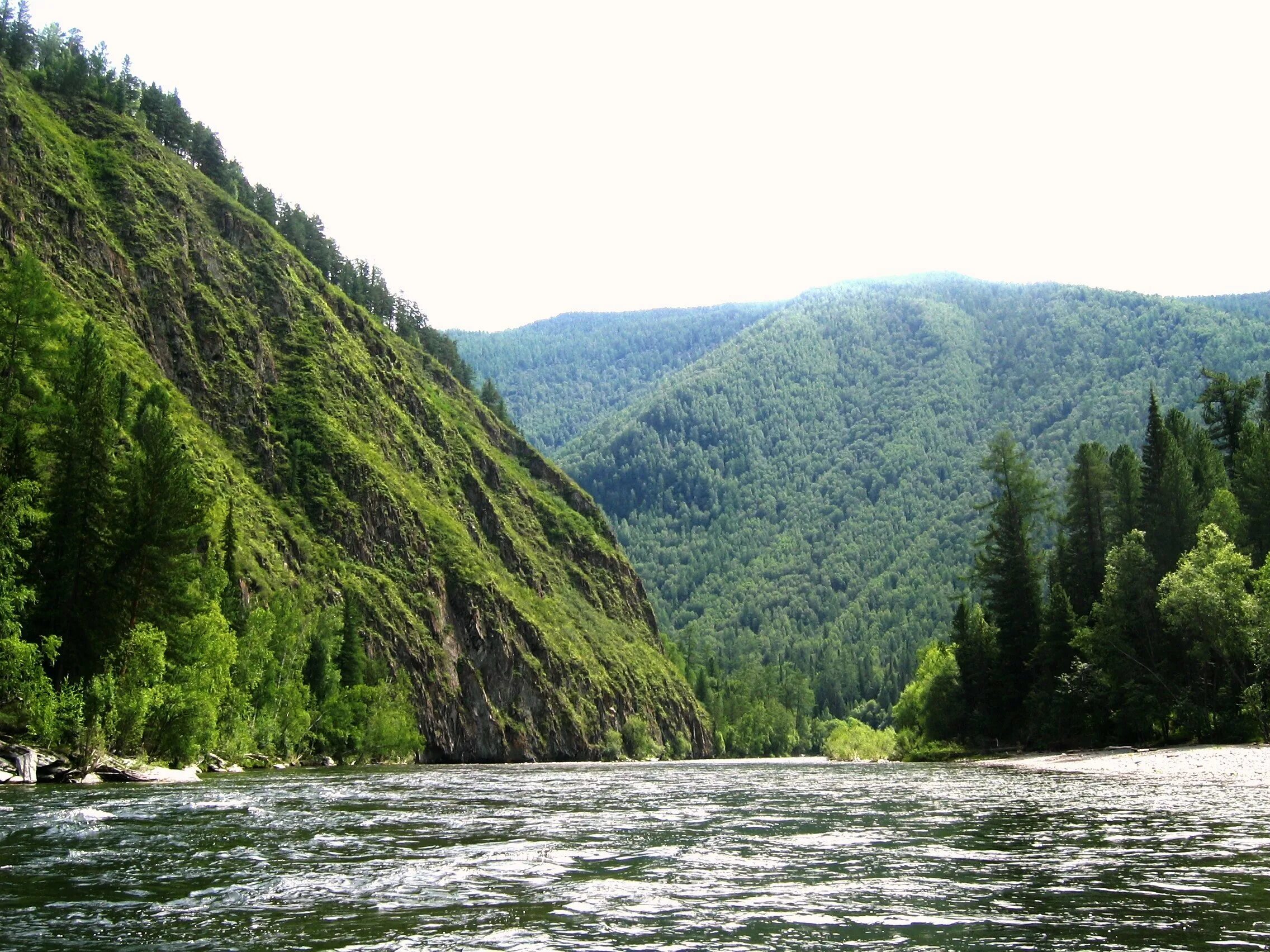 Река Мана Красноярск. Сплав по реке Мана Красноярского края. Речка Мана Красноярский край. Река Кан Красноярский край.