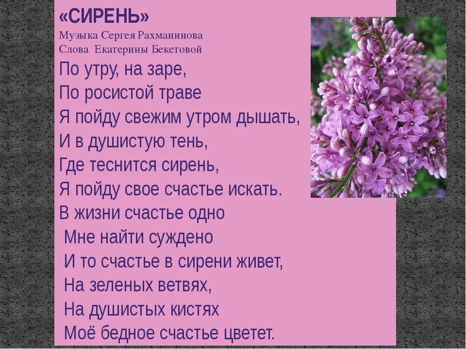 Песня на последний звонок сирень. Сирень Рахманинова текст. Стихи Сергея Рахманинова сирень. Романс Рахманинова сирень текст. Романс сирень текст.