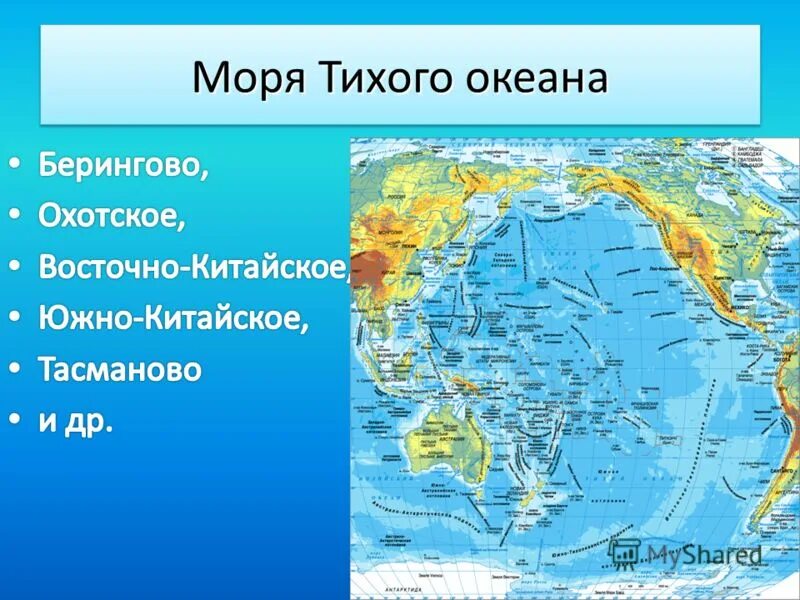 Все моря тихого океана