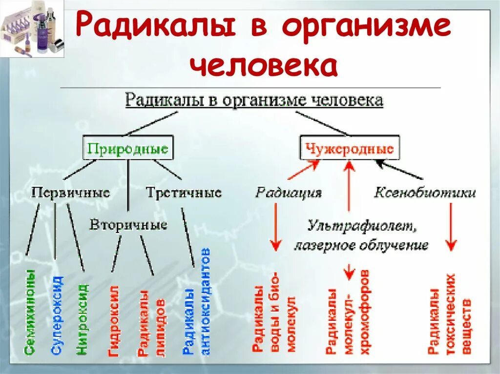 Система радикалов. Радикалы в организме человека. Типы радикалов. Радикалы в психологии. Радикал это человек.