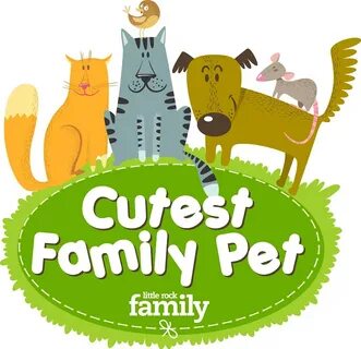 Pet family отзывы
