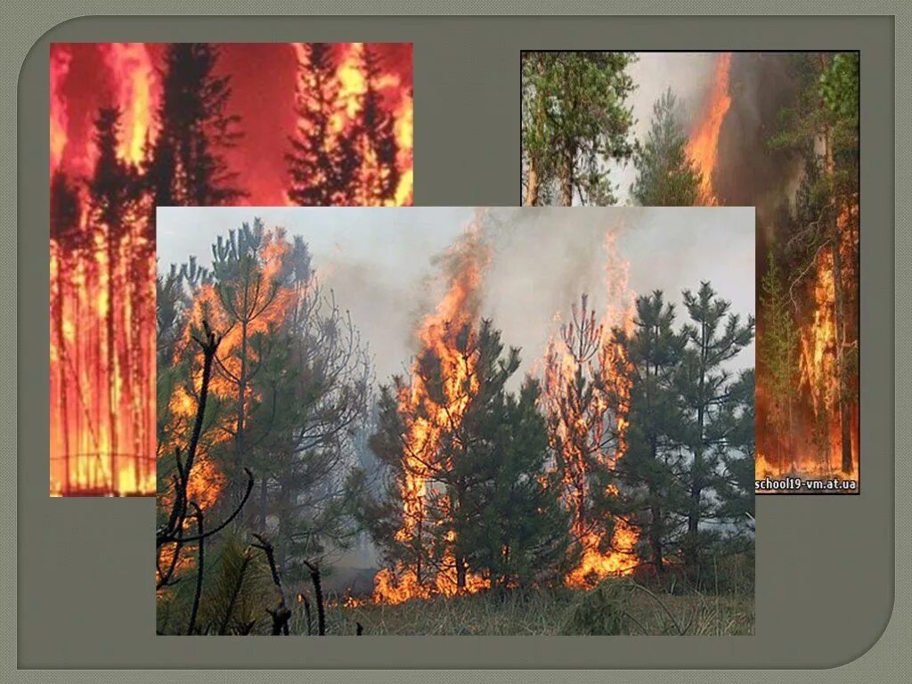 Пожар на природе. Причины пожара в лесу. Лесные пожары 2 класс. Пожар в лесу для детей презентация.