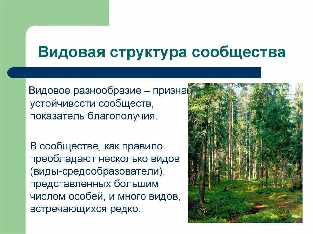Видовая структура сообщества. Видовое разнообразие. Видовое разнообразие и видовой состав. Видовое разнообразие и видовая структура сообщества.