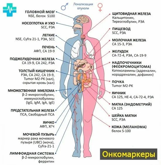 Онкомаркеры CA 125. Са-72-4 онкомаркер. Норма показателя онкомаркера са 15-3 у женщин. Са72-4 онкомаркеры чего. Повышен онкомаркер у мужчин