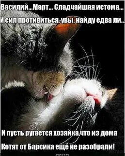 Истому это