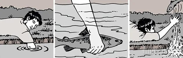 Поймать живую рыбу руками. Поймать рыбу руками. Человек ловит рыбу руками. Как поймать рыбу голыми руками. Рыба с руками.