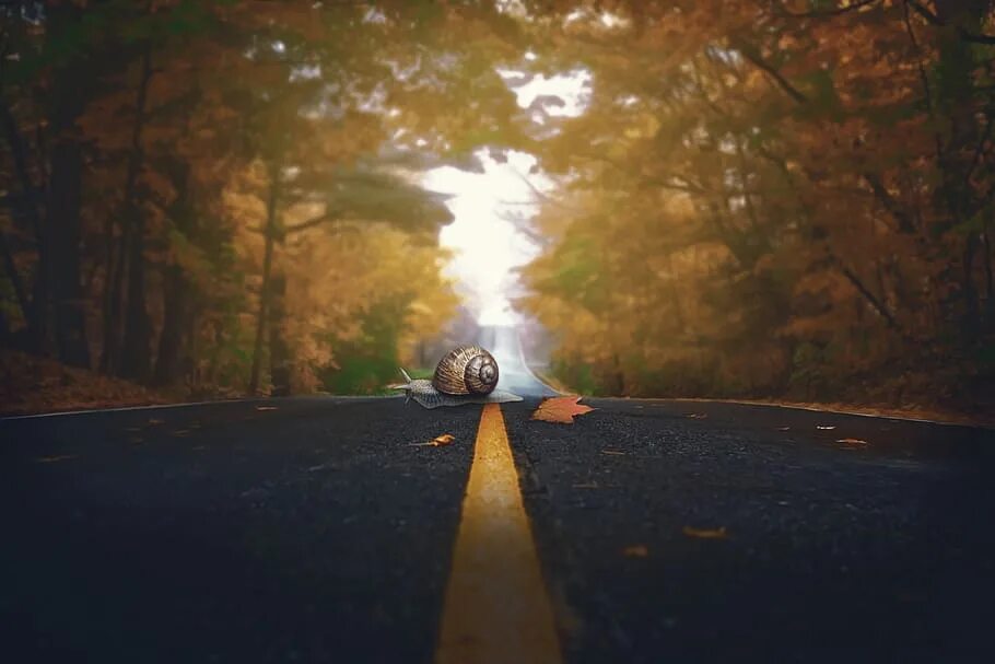Круг по осенней дороге домой. Листья на дороге. Осень дорога листья. Улитка на дороге. Листья на дороге для фотошопа.