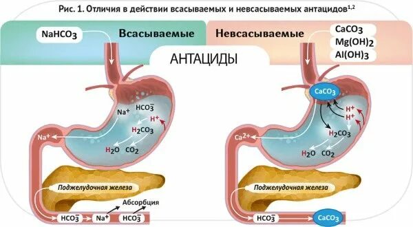 Антацидные препараты механизм действия. Механизм действия всасывающихся антацидов. Механизм действия антацидов схема. Механизм действия антацидных препаратов схема. Антациды действие