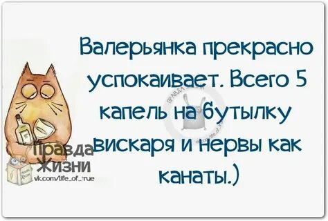 Валерьянка хорошо успокаивает