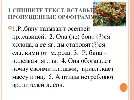 Орфограмма в слове поздняя осень
