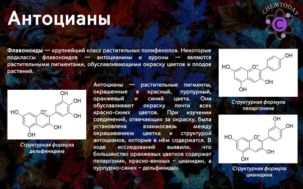 Антоцианы формула структурная. Антоцианы пигменты растений. Антоцианы флавоноиды каротиноиды. Антоциан формула химическая.