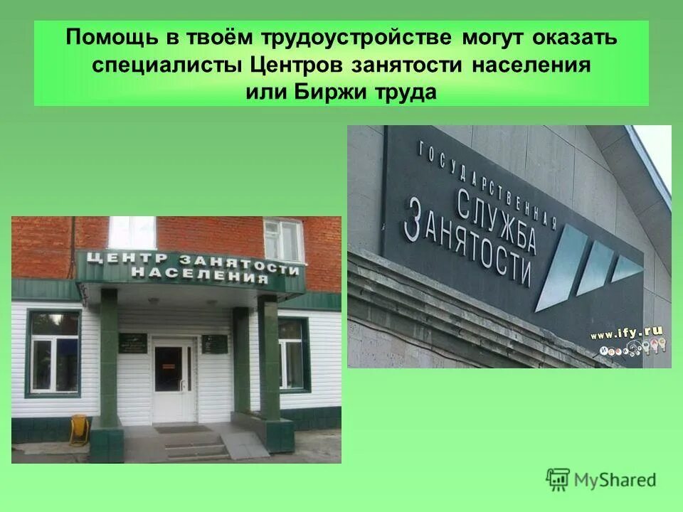 Центр занятости осинники. Центр занятости осинники