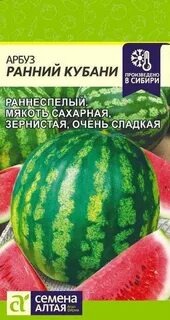 Семена кубани