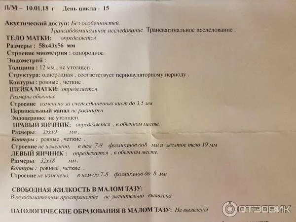 Толщина миометрия норма. Узи малого таза норма яичники. яичники трансабдоминально узи. норма яичников у женщин на узи. размеры яичников на узи в норме.