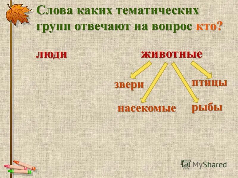 Редкий частый тематическая группа. Классификация слов по тематическим группам. Тематические группы слов в русском языке 2 класс. Слова которые называют людей и животных отвечают на вопрос кто. Объединение слов в группы.