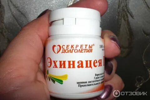 Эхинацея п