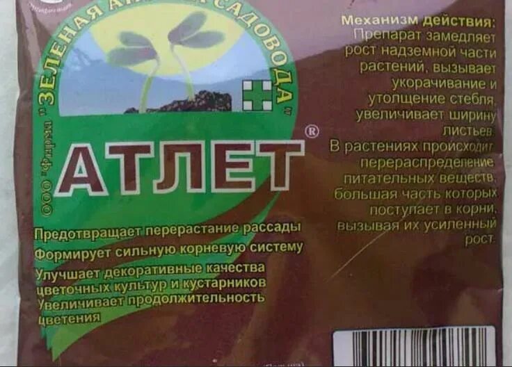 Удобрение атлет для рассады томатов. Чтоб рассада не вытягивалась препарат. удобрение чтобы рассада не вытягивалась. препарат для замедления роста рассады. препараты для рассады от вытягивания.