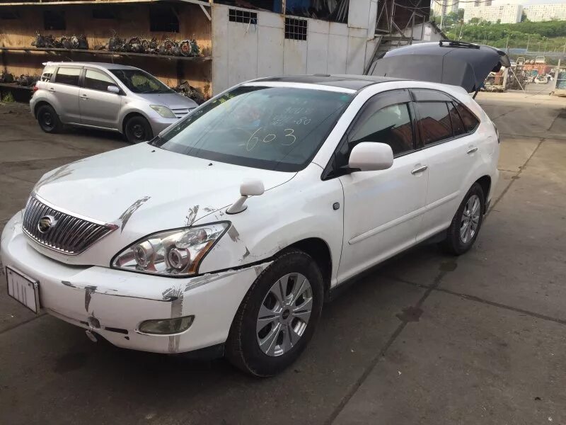 Toyota harrier 1999. Toyota harrier 2017 гибрид. Харриер новосибирск. Харриер новосибирск. Тойота харриер снежная королева.