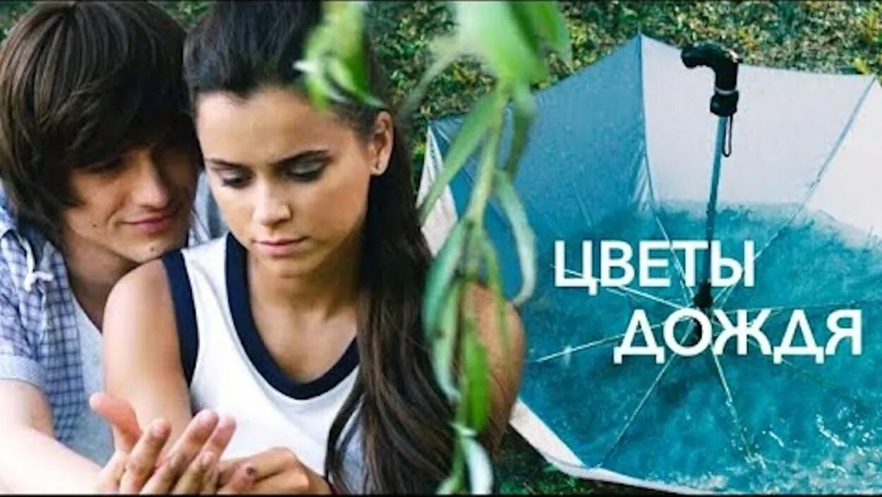 Платон цветы дождя. Цветы дождя название. Цветы дождя похожие. Цветы дождя похожие. Платон цветы дождя.
