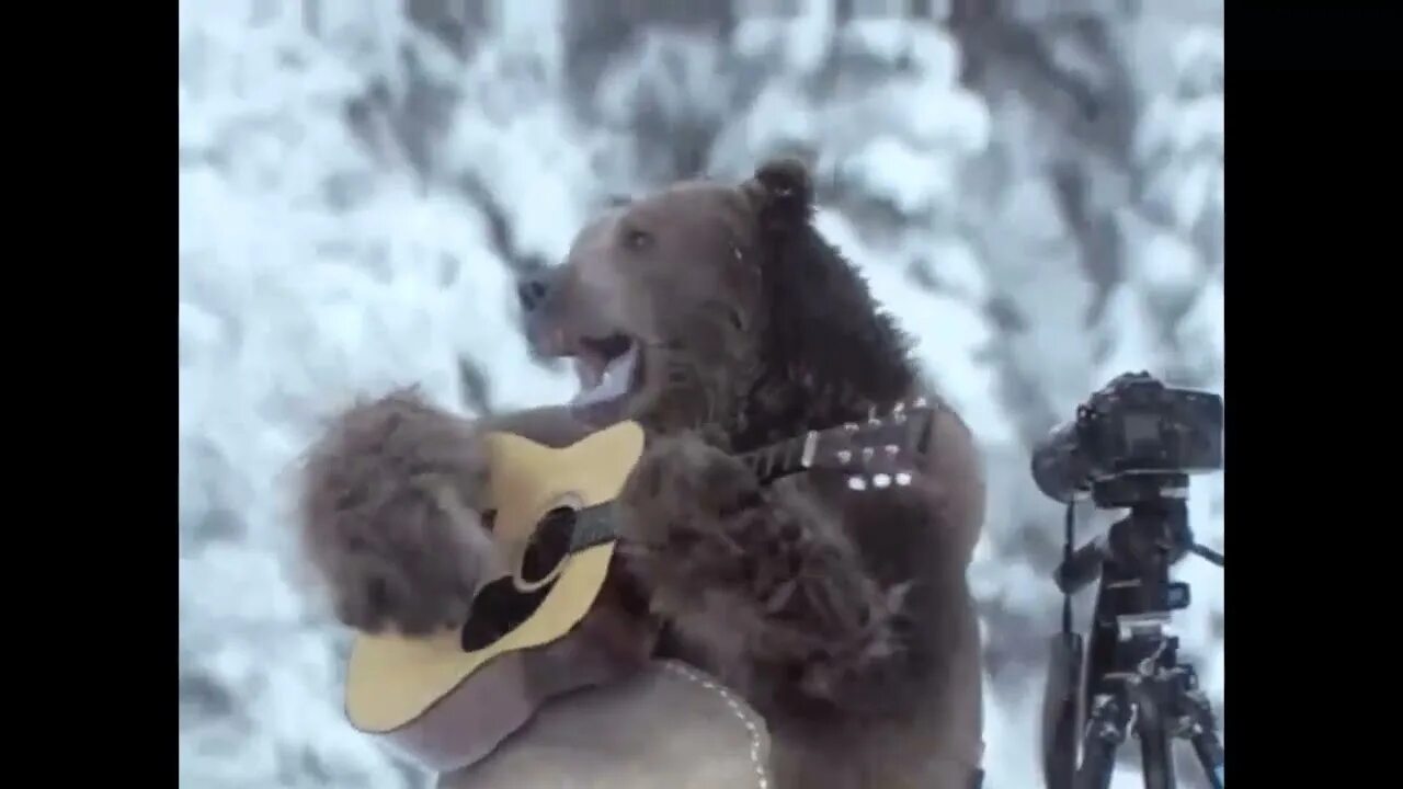 Я пою медведь. Медведь с балалайкой. Медведь в ушанке с балалайкой. Медведь играет. Медведь играет на балалайке.