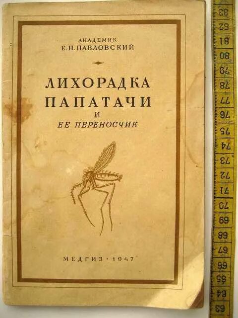 Лихорадка паппатачи переносчики. Ифический переносчик лихорадки паппатачи.. Академик Павловский книга.