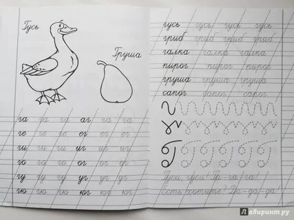 Прописать букву г