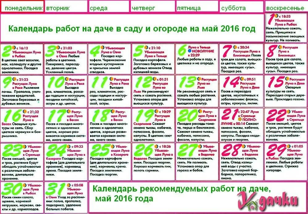 В какой дни недели сажать. Таблица работ в саду и огороде. План работ в саду по месяцам. Календарь для работы. Календарь дачных работ.