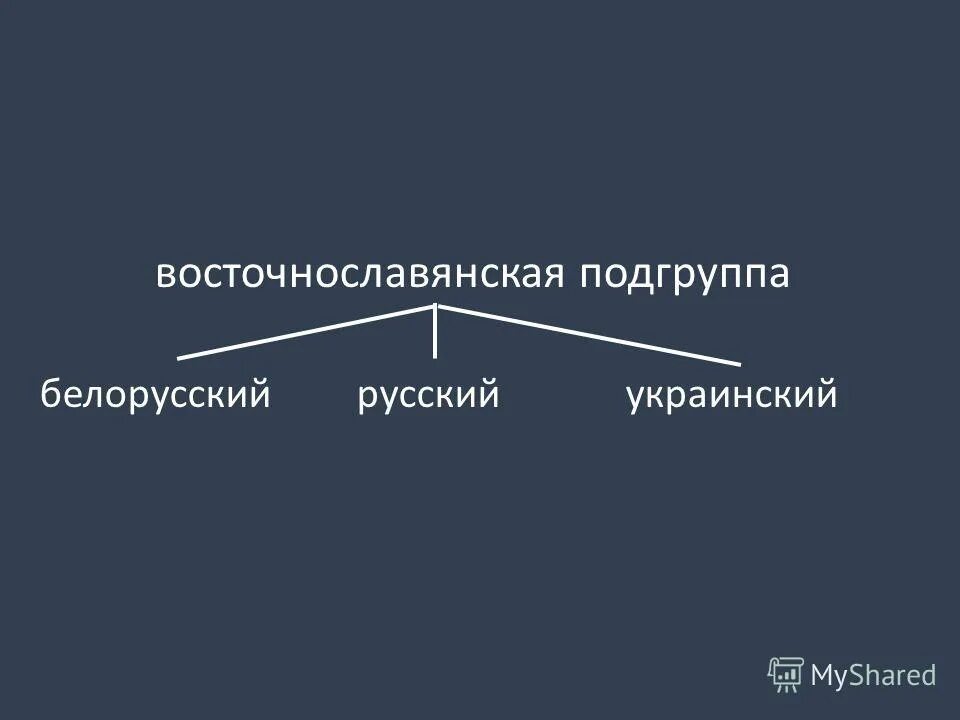 ветви славянских языков. ветка славянских языков. славянская группа языков. ветви старославянского языка. славянская группа языков.