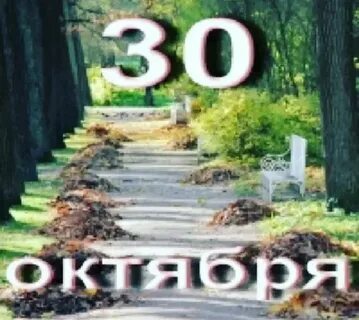 30 октября 2022 г
