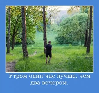 Утром две вечером одна