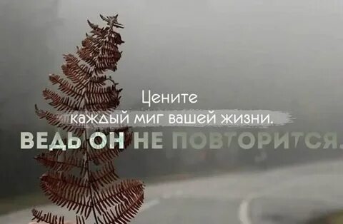 Цените каждый миг