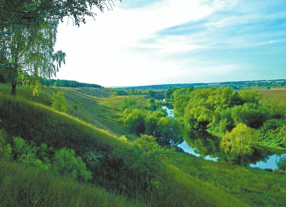 Река Зуша Мценск. Зуша река Орловская. Река Зуша Мценский район. Река Неручь Орловская область. Орел реки области