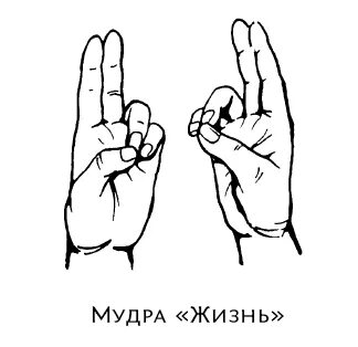 Мудра знания
