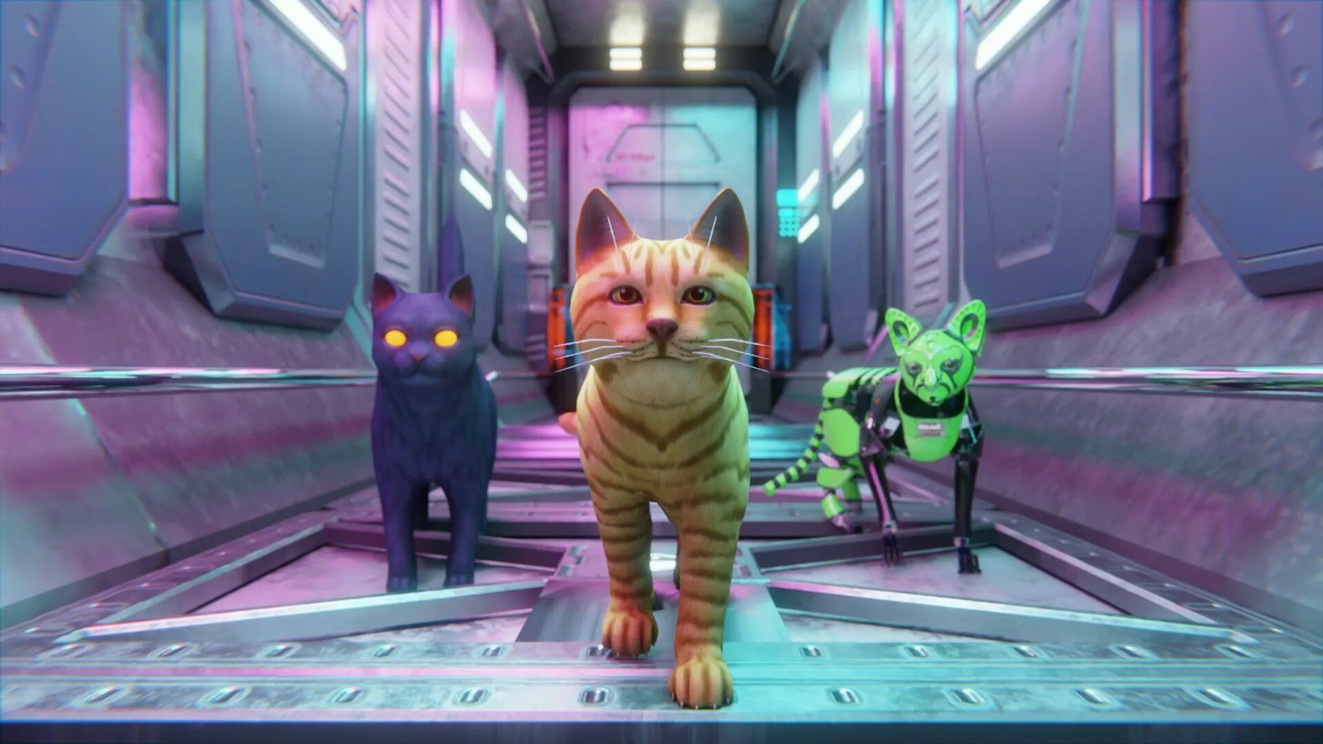 Kitten cat simulator. Kitten cat simulator