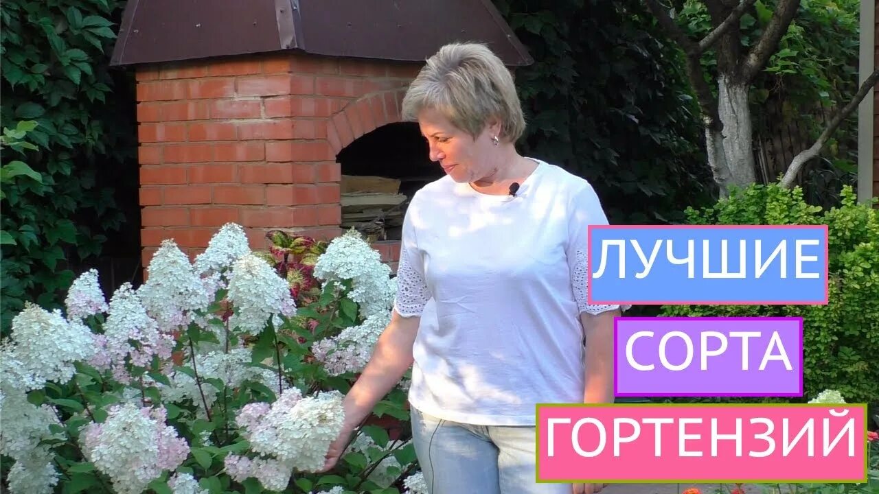 Канал садовая. Канал садовая. Канал садовая. Канал садовая. Садовый гид с ларисой зарубиной.