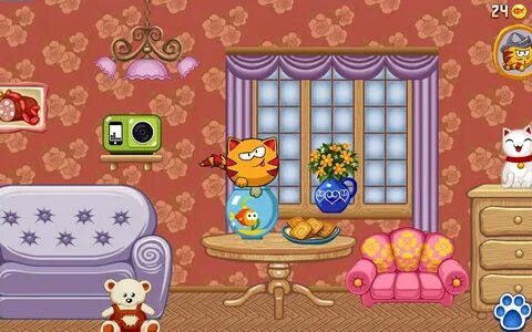 Игры с котом дома
