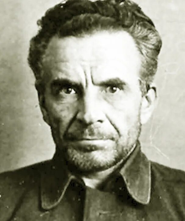 Иосиф францевич. Комкор иосиф францевич блажевич. блажевич иосиф францевич мпво. виленский иосиф файвишевич. румшевич иосиф францевич 1852.