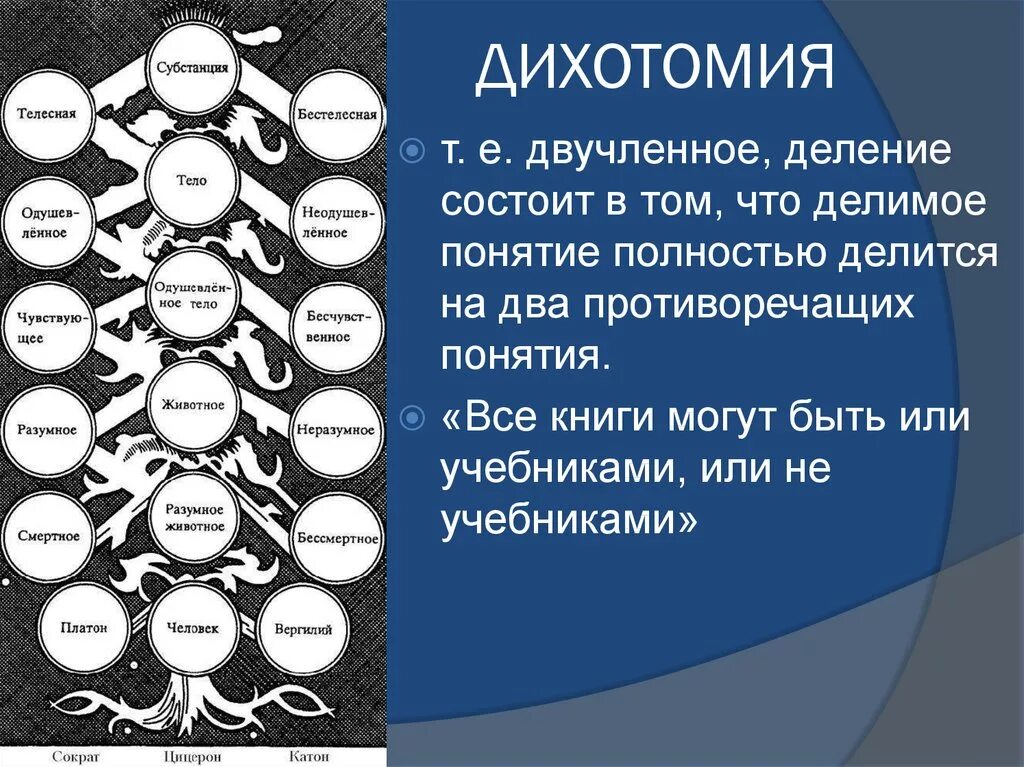 Дихотомия. Дихотомия в психологии. Дихотомия примеры. Дихотомия это простыми словами. Что такое дихотомия