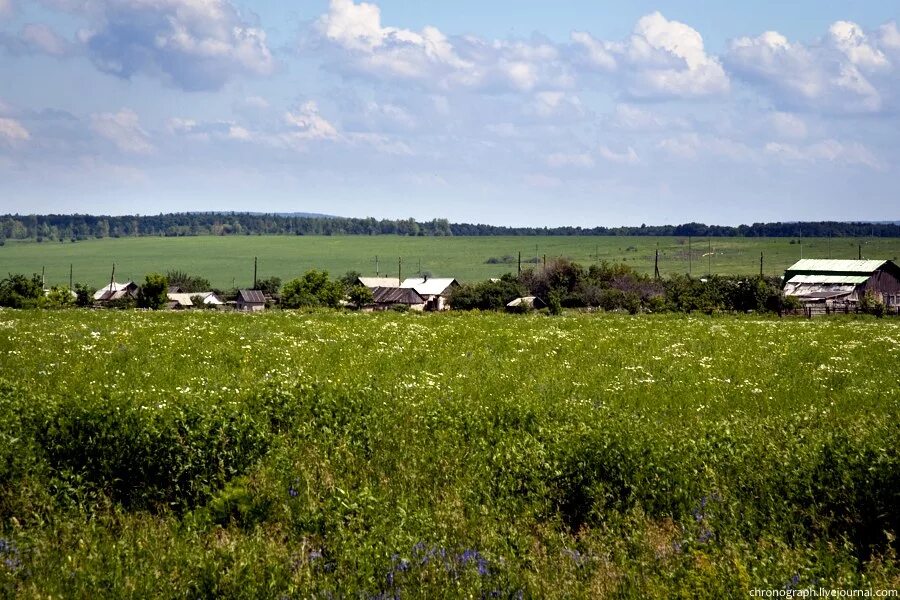 Валы самарская область. Село валы Самарской области. Село Сосновый солонец. Село валы Ставропольский район Самарская область. Сосновый солонец Самарская область.