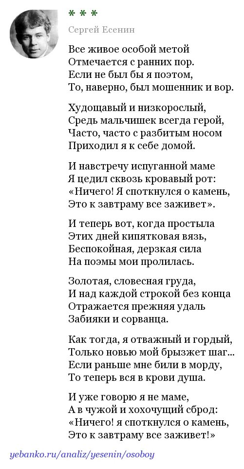 Особой метой. Все жыиое особо метает. Стихотворение все живое особой метой. Стихи Есенина всё живое особой метой.