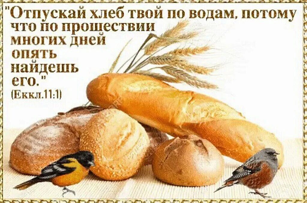 Кинуть хлебом. Пускайте хлеб свой по водам. Отпускай свой хлеб по водам. Пусти хлеба твои по вода. Хлеб пустит по водам.