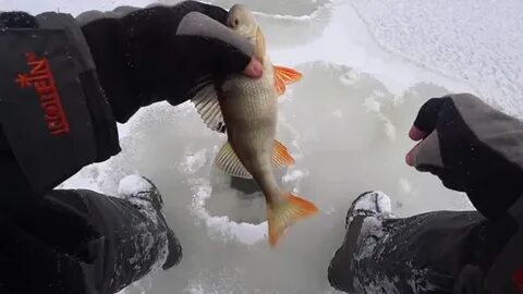 Дед маркелыч рыбалка
