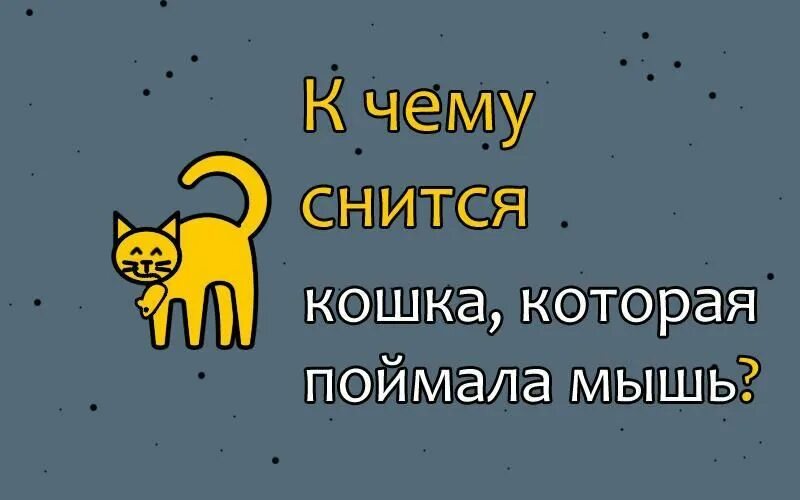 К чему снится кошка принесла мышку. К чему снятся коты. Сонник кот. Кошка с мышками сниться к чему. Что значат мыши во снах