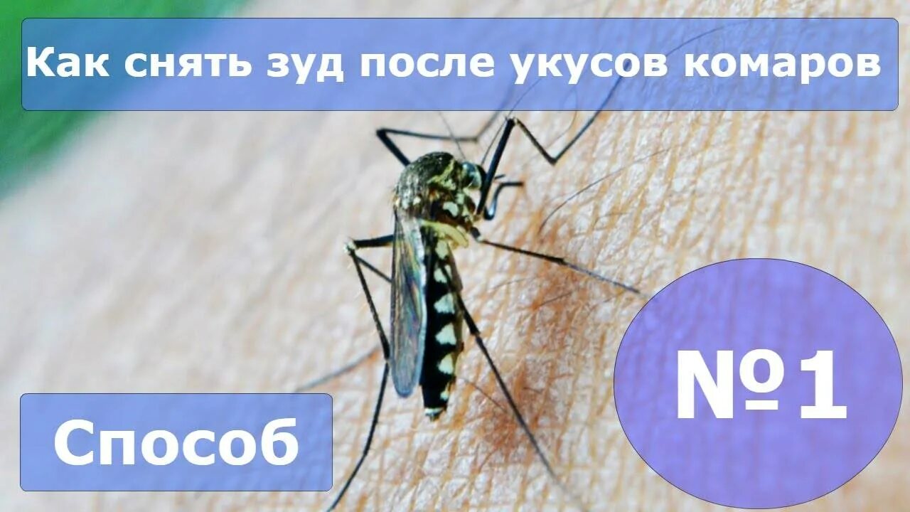 Снять зуд от укусов