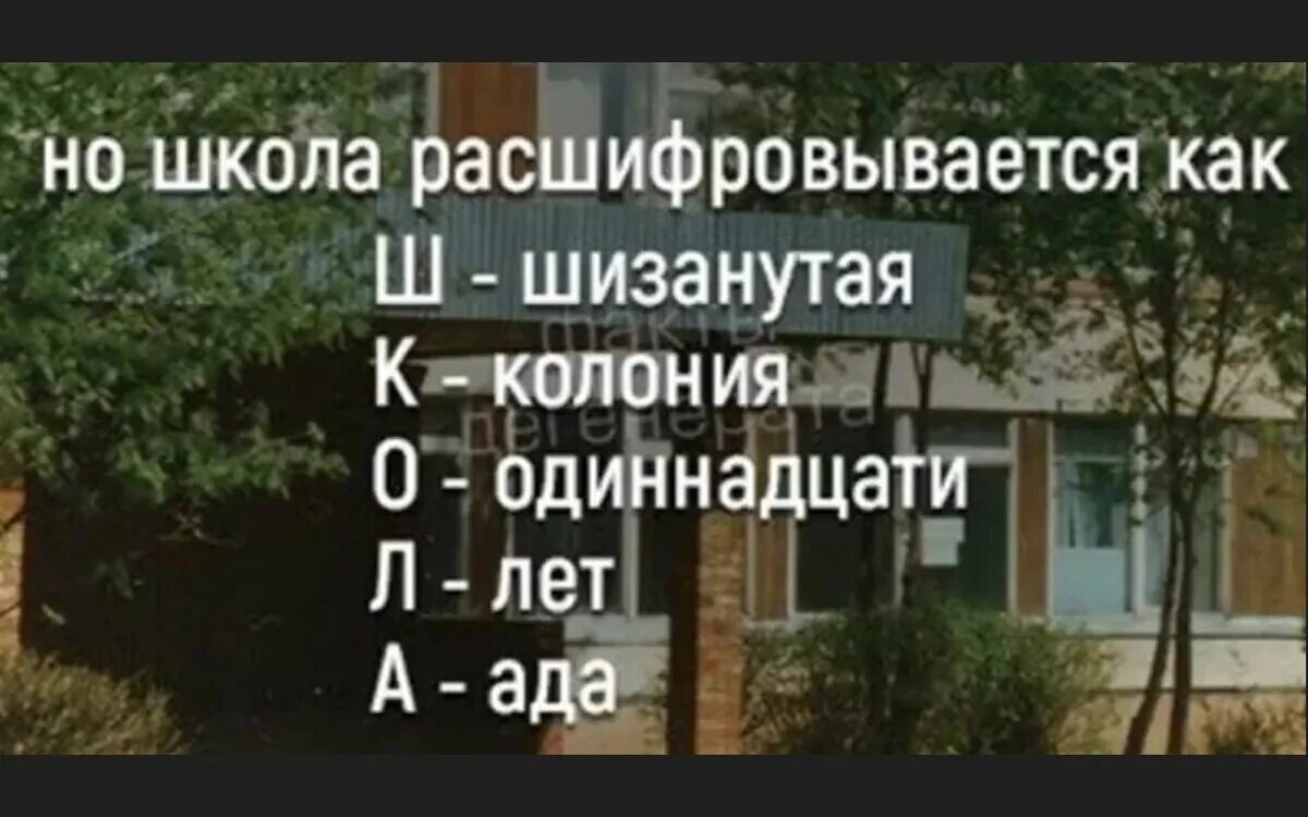 Как расшифровывается сш. Школа колония одиннадцати лет ада. школа шизанутая колония. как расшифровывается школа. школа шизанутая.