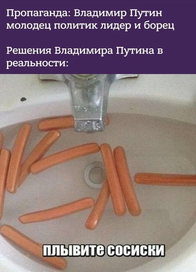 Плывите сосиски. Сосиски в раковине. плывите сосиски мем. сосиски плывут.
