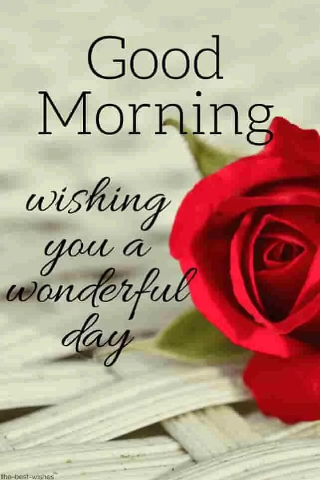 Good morning картинки красивые. Good morning best wishes. Доброе утро кофе. Good morning good morning the best. Пожелания с good morning.