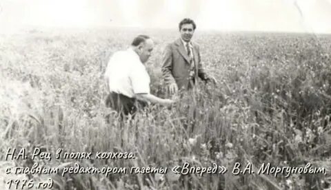 Колхоз телеграм