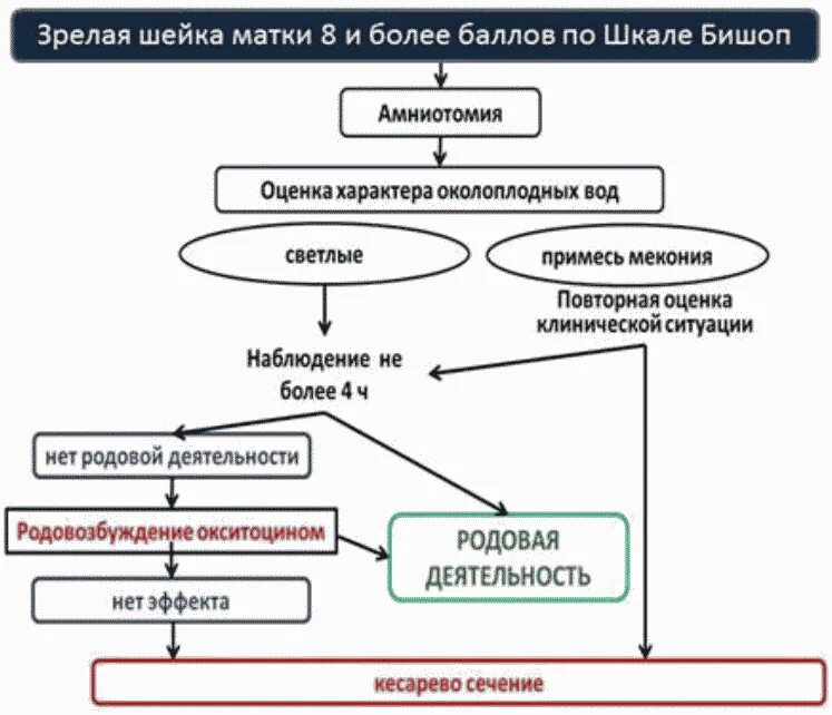 Преиндукция родов клинические рекомендации. Подготовка шейки матки к родам клинические рекомендации. Современные методы подготовки шейки матки к родам. Алгоритм подготовки шейки матки к родам.