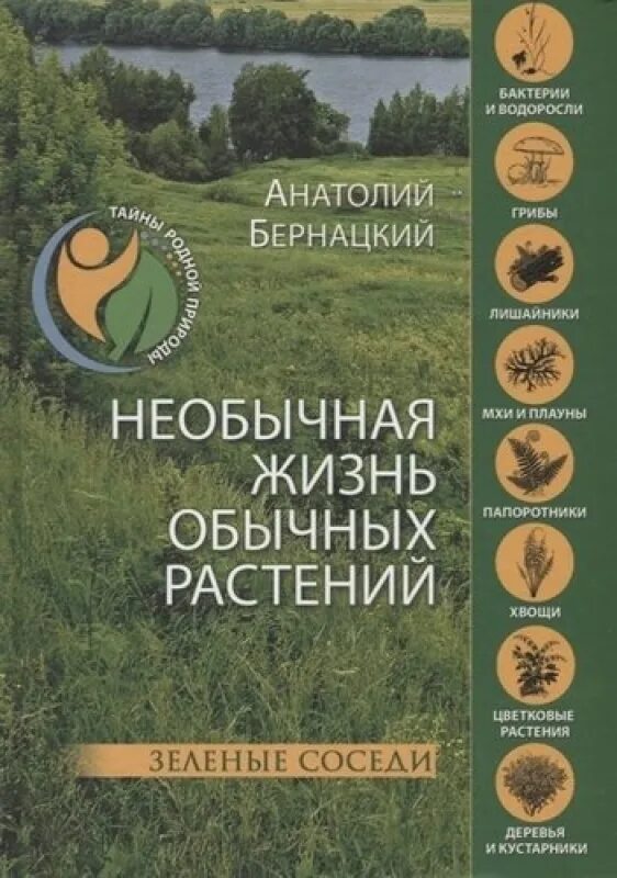 Привет сосед. Зеленый сосед. Привет сосед картинки. Тайные кубы в привет сосед. Дерен живая изгородь.